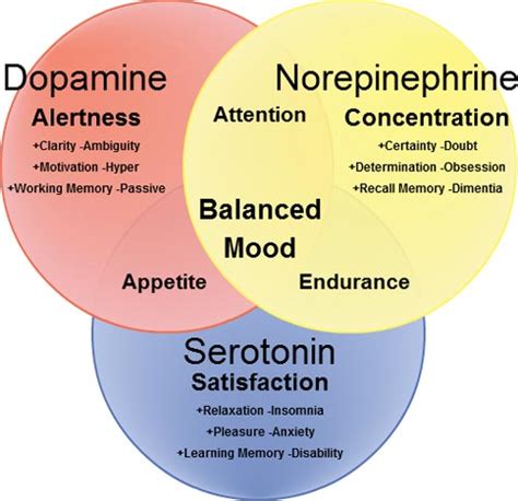 12 Natural Serotonin Boosters You Can Try Today