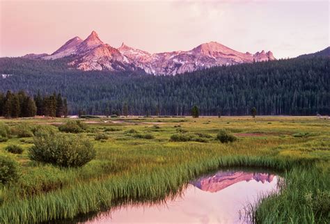 Tuolumne Meadows, Yosemite National Park | Tuolumne meadows, The great outdoors, National parks