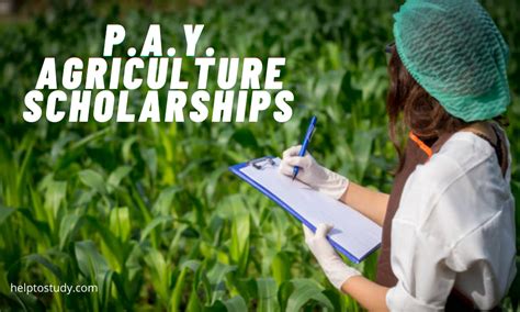 P.A.Y. Agriculture Scholarships