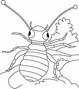 Louse Roams Loose coloring pages sketch template