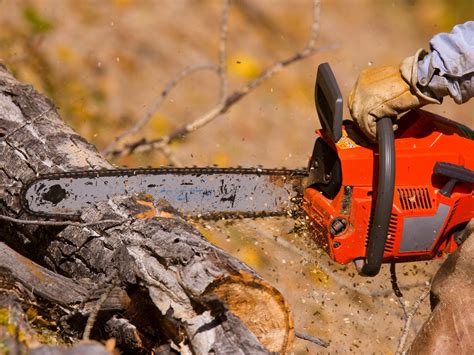 10 Top Basic Chainsaw Chain Types - A To Z Options Guide