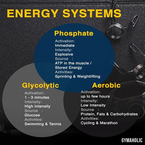 What Are The Energy Systems: Aerobic, Glycolytic...