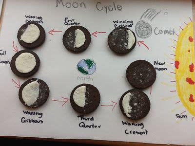 Mrs. Watson's Magic School Bus: The Moon Phases Activity | Moon phases activities, Magic school ...