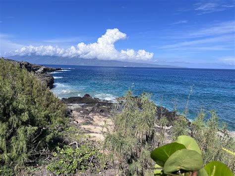 Kapalua Coastal Trail in Maui [Everything You Need to Know]