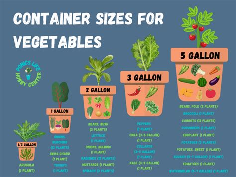 Vegetable Container Size Standards (With Chart) - Ponics Life