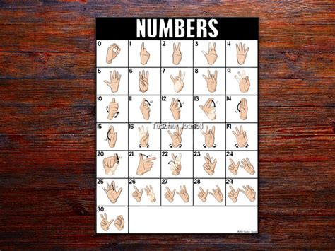 Asl Numbers 1 30 Printable - Printable Word Searches