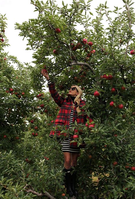 apple picking // fall | Apple picking outfit, Apple picking fall, Preppy fall outfits