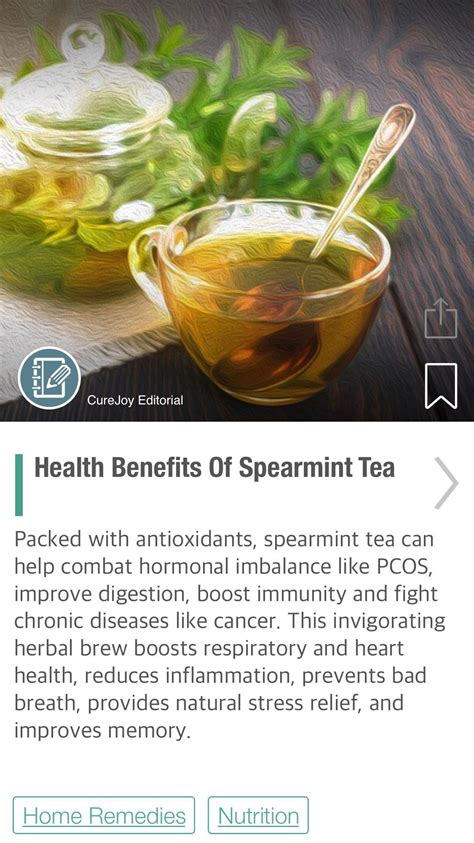 Health Benefits Of Spearmint Tea - via @CureJoy #teasetvintage | Spearmint tea benefits ...