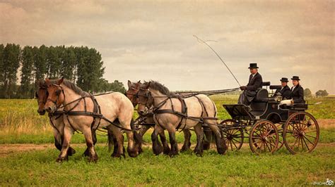 Four-in-hand with authentic carriage | Vierspan met authenti… | Flickr