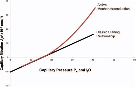 Figure 1 from THE STARLING EQUATION AND PULMONARY EDEMA | Semantic Scholar