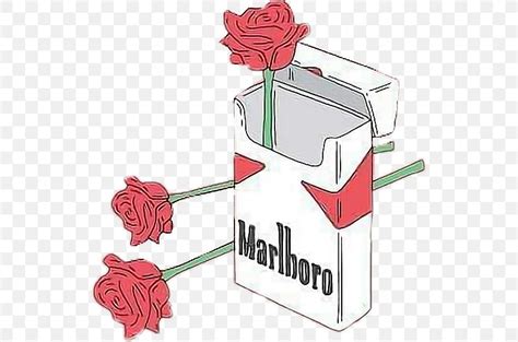 Marlboro Cigarettes, Black, PNG, 532x542px, Marlboro, Black Devil ...