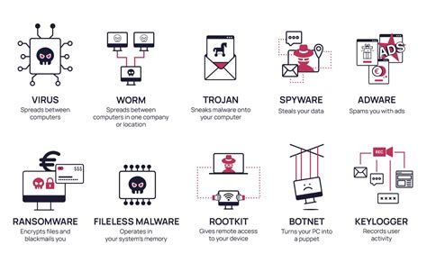 What is Malware? | Examples & Prevention Tips