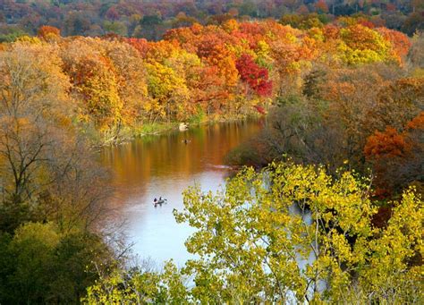 Fall in Ann Arbor, Michigan: Photos Ann Arbor Michigan, Pure Michigan, Michigan Travel, Great ...