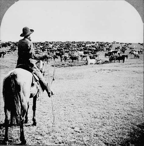 Texas Cattle Drives — Texas Parks & Wildlife Department