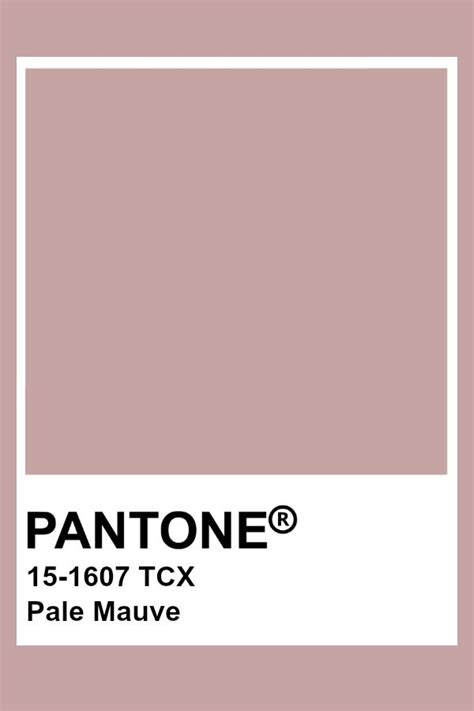 Pantone Pale Mauve | Pantone colour palettes, Pantone color, Pantone palette