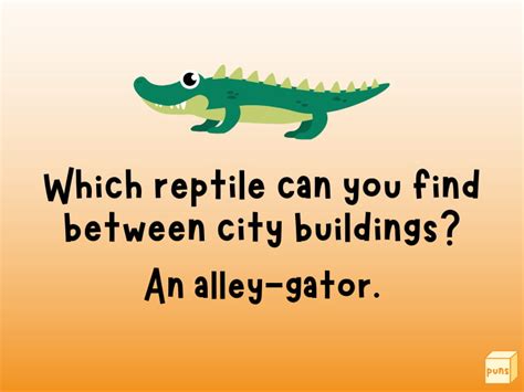 45+ Hilarious Alligator Jokes - Box of Puns