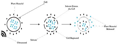 Processes | Free Full-Text | Sonication, a Potential Technique for ...