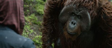 Apes, Game of Thrones take major HPA vfx awards - fxguide