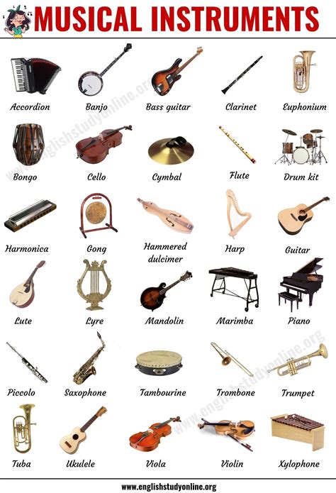 Musical Instruments: List of 30 Popular Types of Instruments in English ...