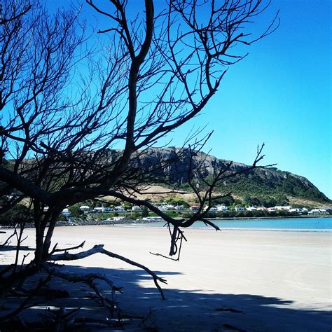 Tatlows Beach, Stanley Tasmania | States of australia, Beach, Tasmania