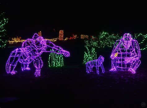 Woodland Park Zoo WildLights | A Roaring Good Time! | Seattle Bloggers