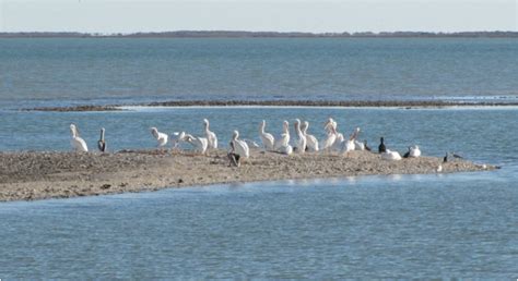 Aransas National Wildlife Refuge, TX - Found Nature