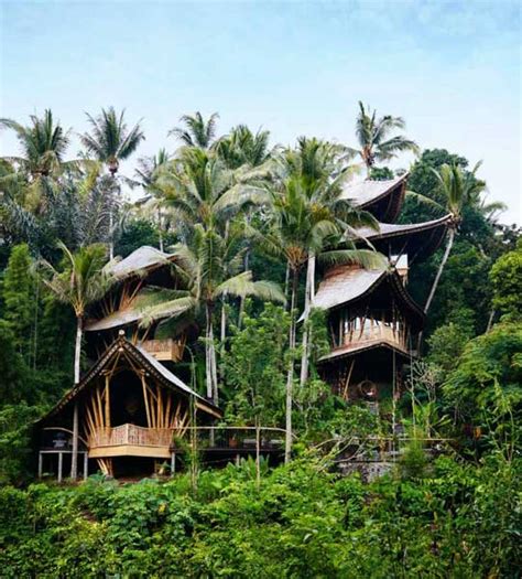 Desain Rumah Bambu Modern Minimalis (Tampak + Sketsa)