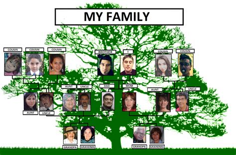 Blog Salvador Lorca - English I: My Family Tree