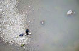 Yangtze river pollution sparks panic in China