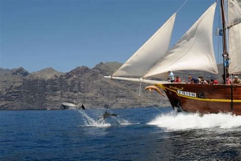 Los Gigantes boat trips | TravelON World