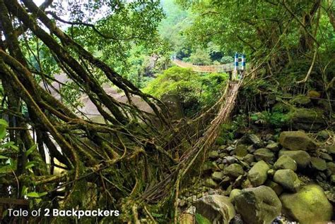 Nongriat Trek - Guide to Double Decker Root Bridge & Rainbow Falls | T2B