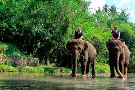 SUNDARI BALI TOUR: KEBUN BINATANG DI BALI