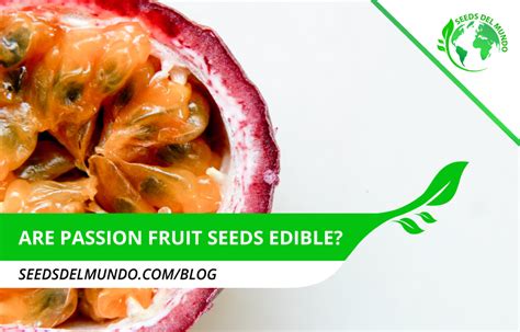 Are passion fruit seeds edible? | Seeds Del Mundo