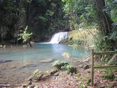 Santa Cruz Tourism: Best of Santa Cruz, Jamaica - TripAdvisor