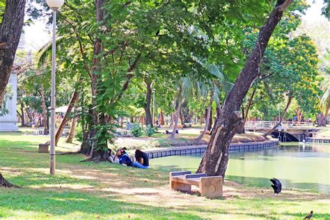 Lumpini Park: Enjoying Leisurely Days in Bangkok | The Bear Travel