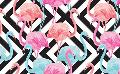 Desktop Flamingo Wallpaper - IXpaper