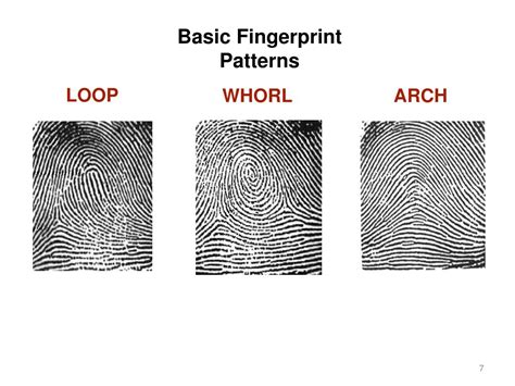 PPT - Chapter 4 - Fingerprints PowerPoint Presentation, free download - ID:3930871