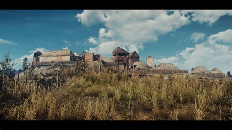 Velen at The Witcher 3 Nexus - Mods and community