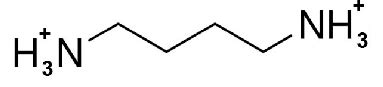 Chemical structure of the putrescine molecule. | Download Scientific ...