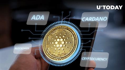 Cardano Light Wallet Gears for Major Release: Details