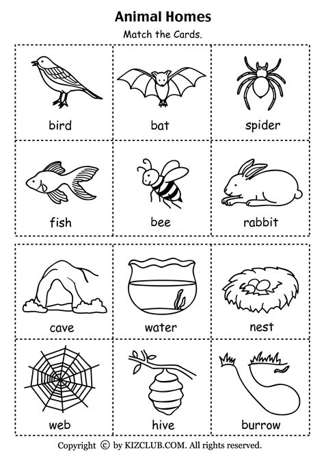 Animal Homes Worksheet Free Printable | Kindergarten science, Preschool ...