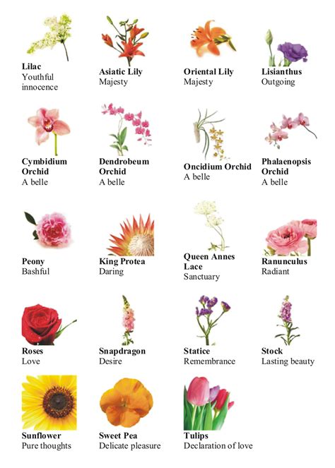 Different types of flowers, Types of flowers, Japanese flower names