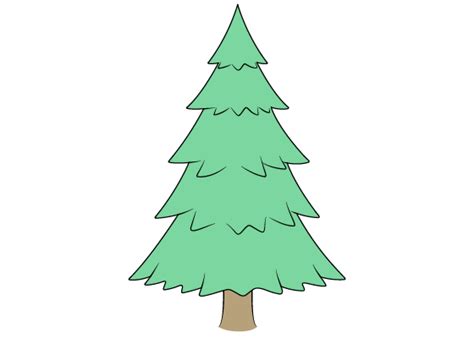 How to Draw a Pine Tree Step by Step - EasyLineDrawing