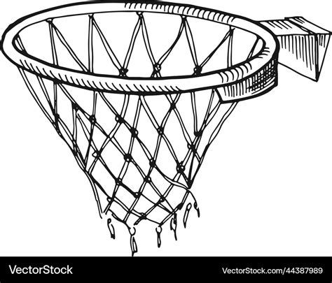 Basketball hoop sketch hand drawn sport basket Vector Image