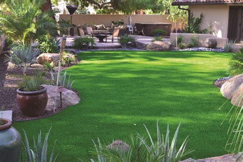 The Ultimate Guide to Natural Grass Lawn Alternatives - Turf Factory