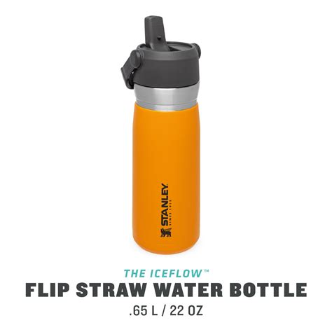 Go Flip Straw Water Bottle | 0.65L | Stanley