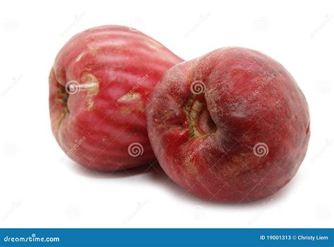 Malay apple stock image. Image of ripe, fruit, retail - 19001313