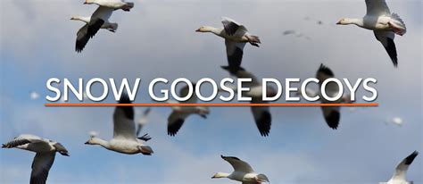 Snow Goose Windsock and Motion Decoys – SilloSocks