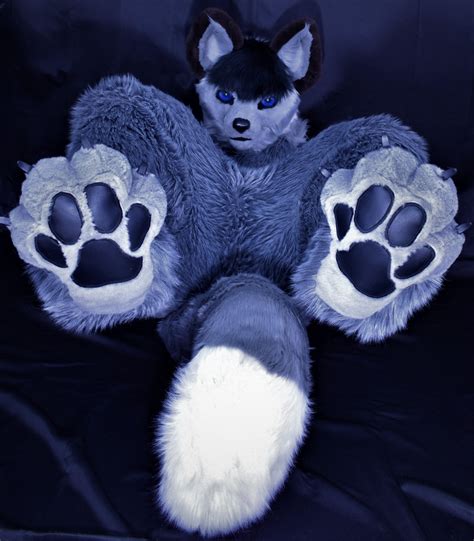 New Indoor Paws! : r/furry