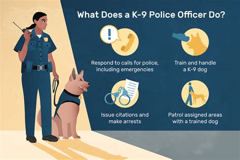 What Is A Police Dogs Job